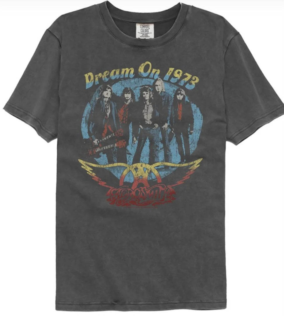 Dark gray crewneck T-shirt with Dream On 1973 band graphic front