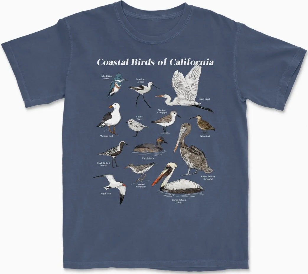 Blue crewneck T-shirt with front bird collage graphic