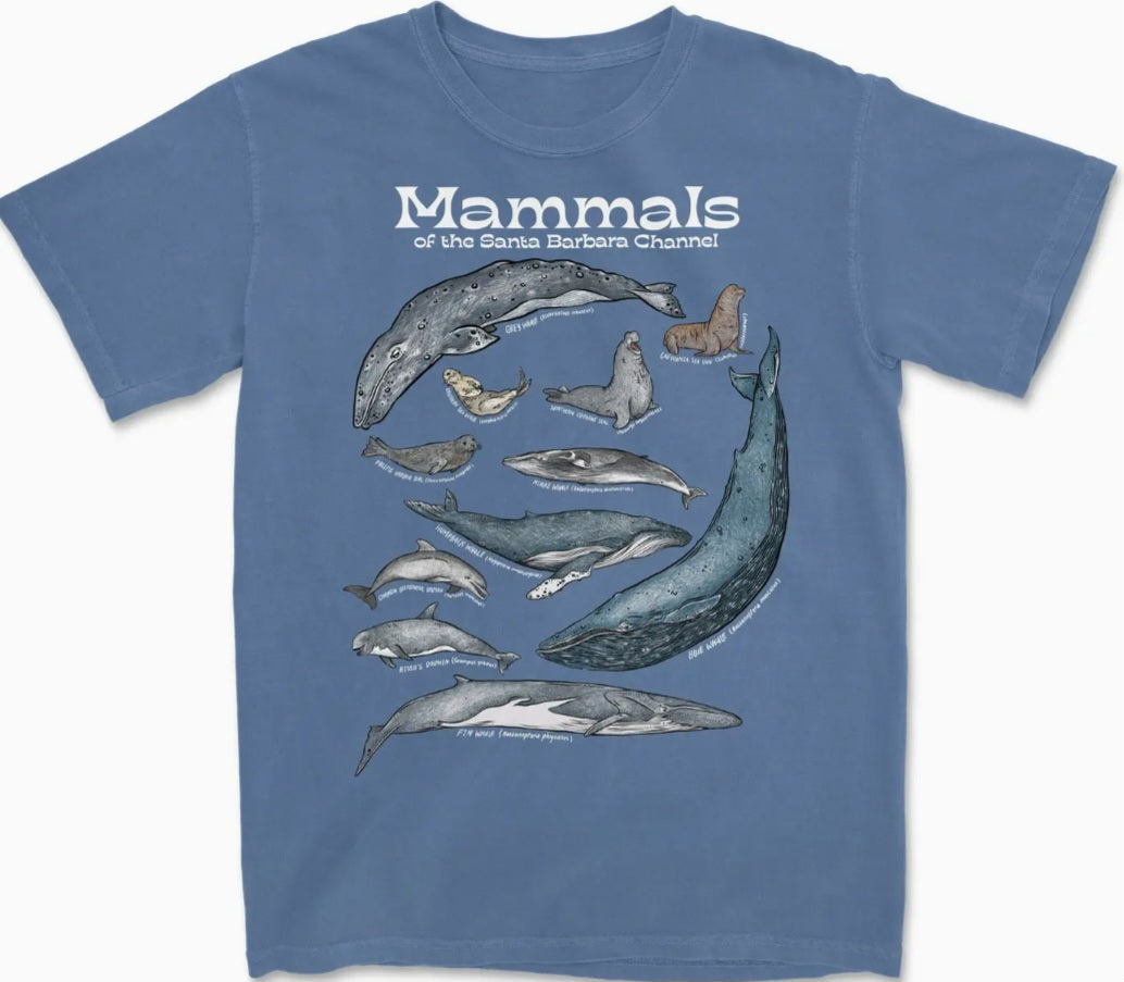 Blue crew-neck t-shirt with marine mammal graphic on the front