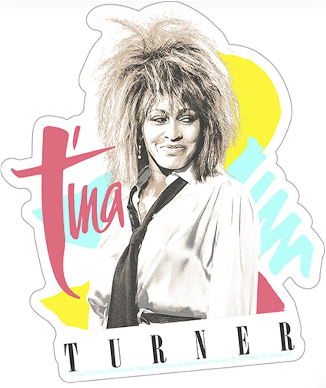 Tina Turner band sticker with photo portrait, blonde hair, and stylized TINA text