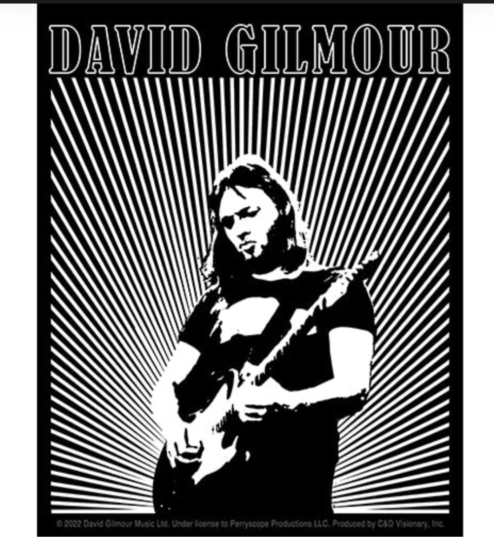 David Gilmour band sticker with black-and-white guitarist holding an electric guitar