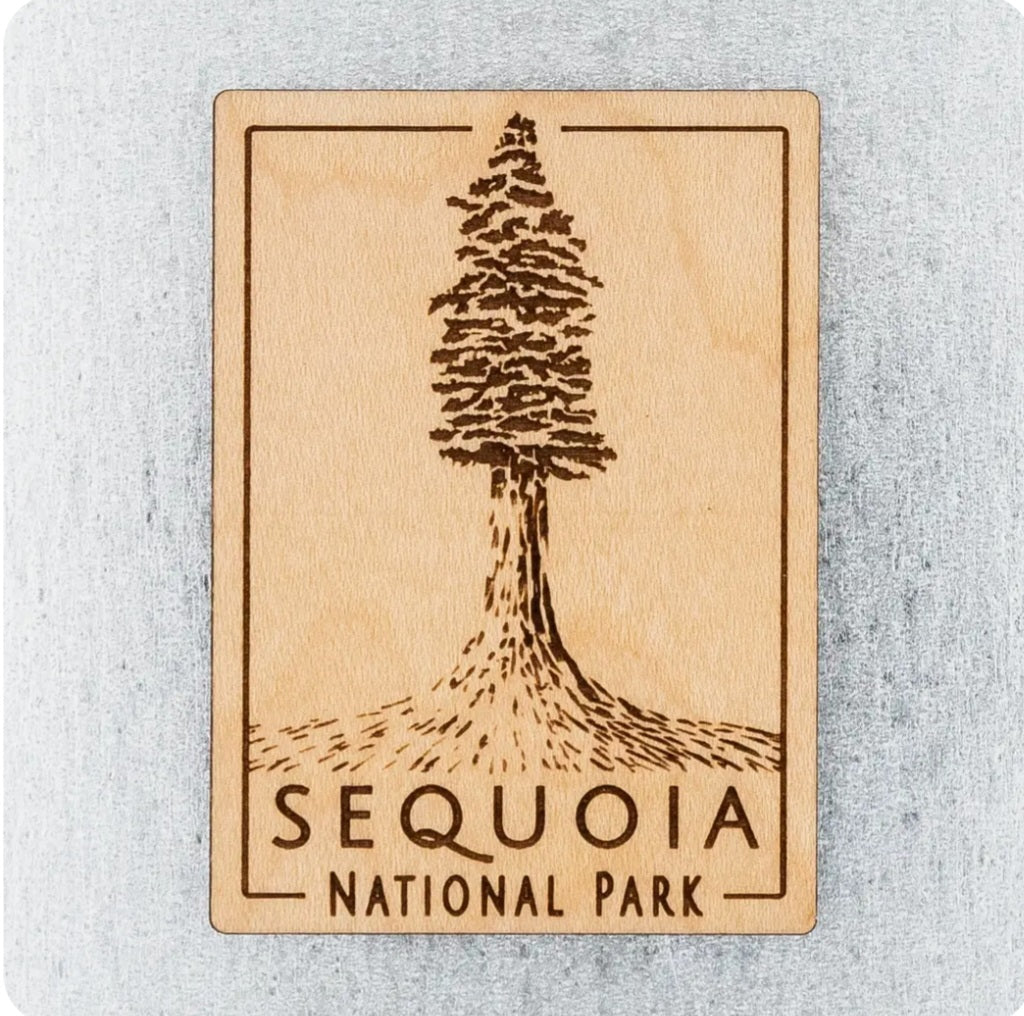 Wood magnet with etched pine tree and 'SEQUOIA NATIONAL PARK' text