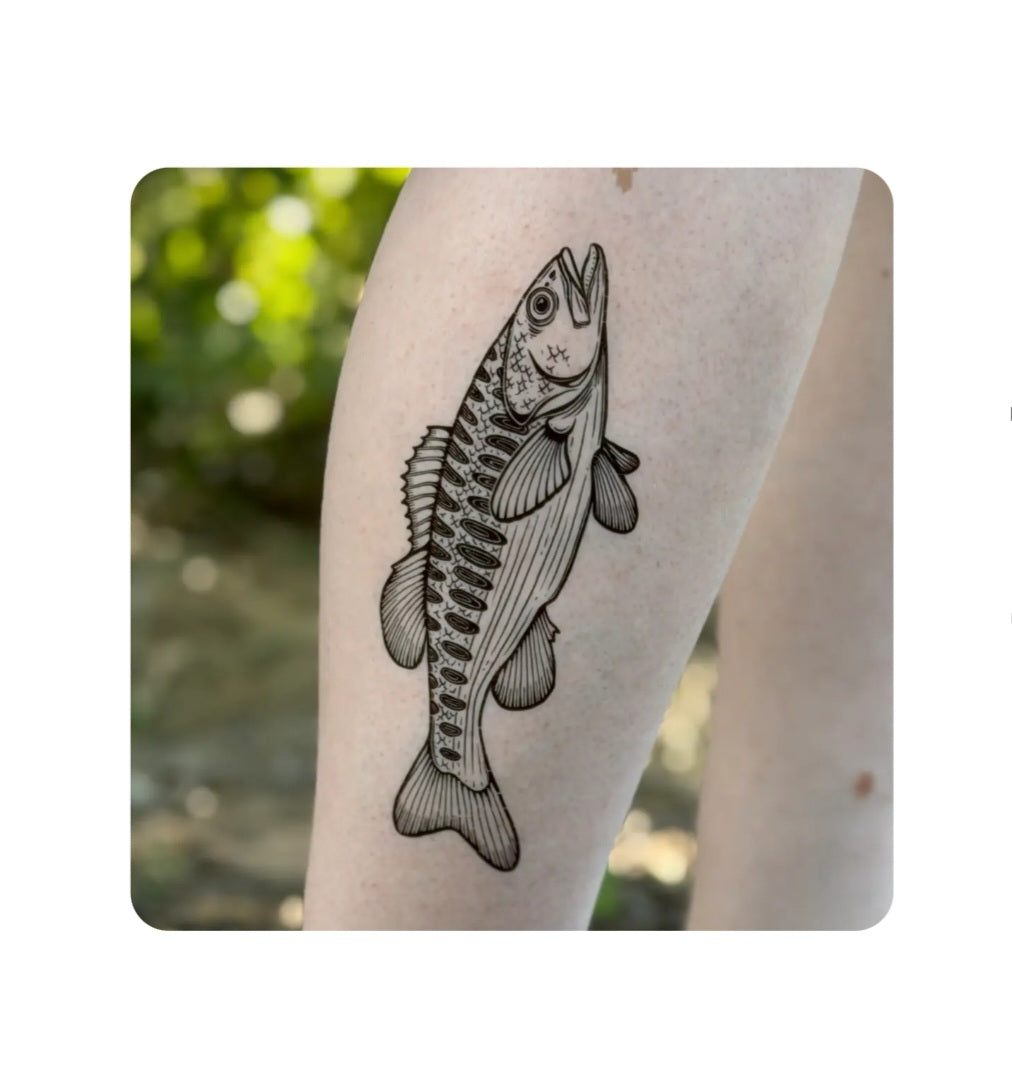 Bass fish temporary tattoo with detailed line art on an arm