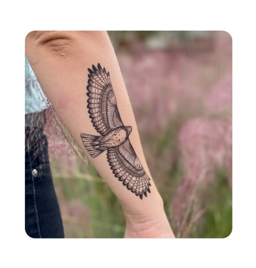 Temporary tattoo: black hawk bird design on forearm