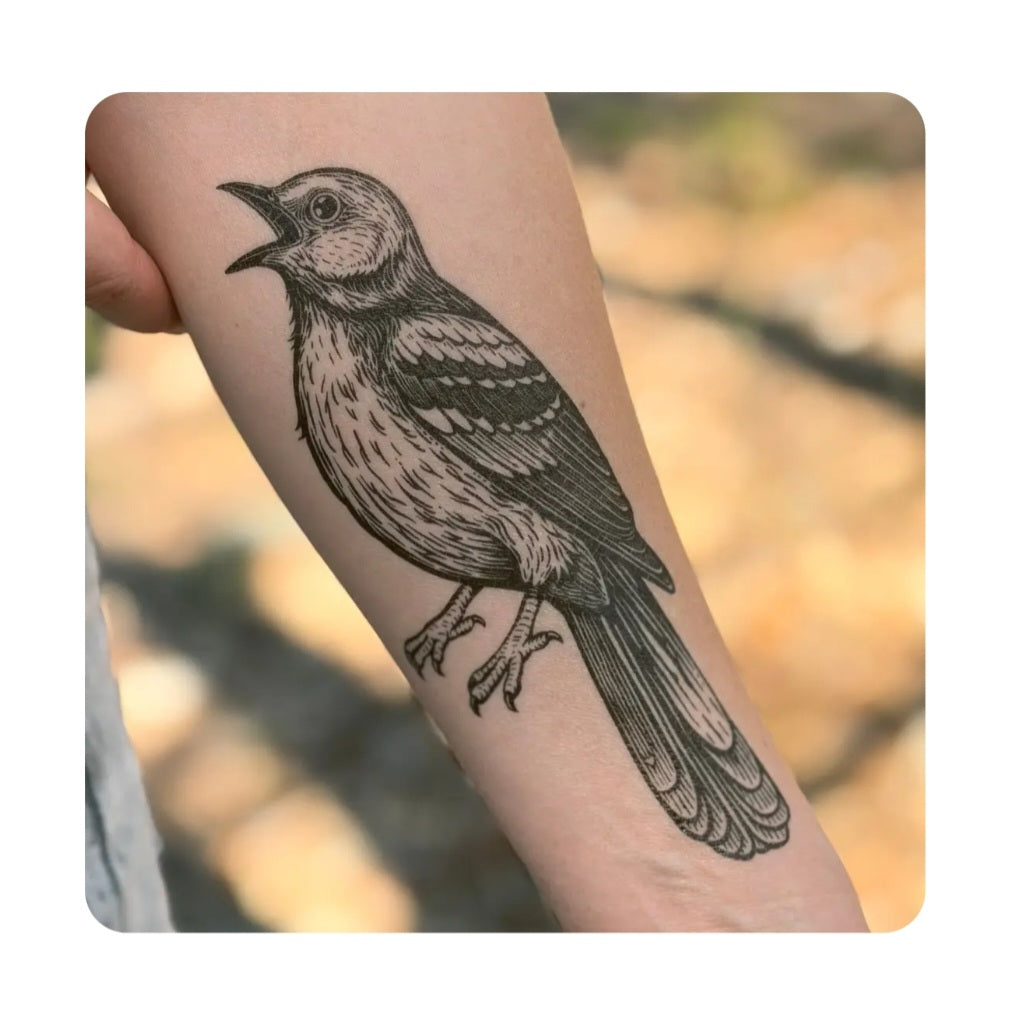 Temporary bird tattoo on forearm, black and gray mockingbird illustration