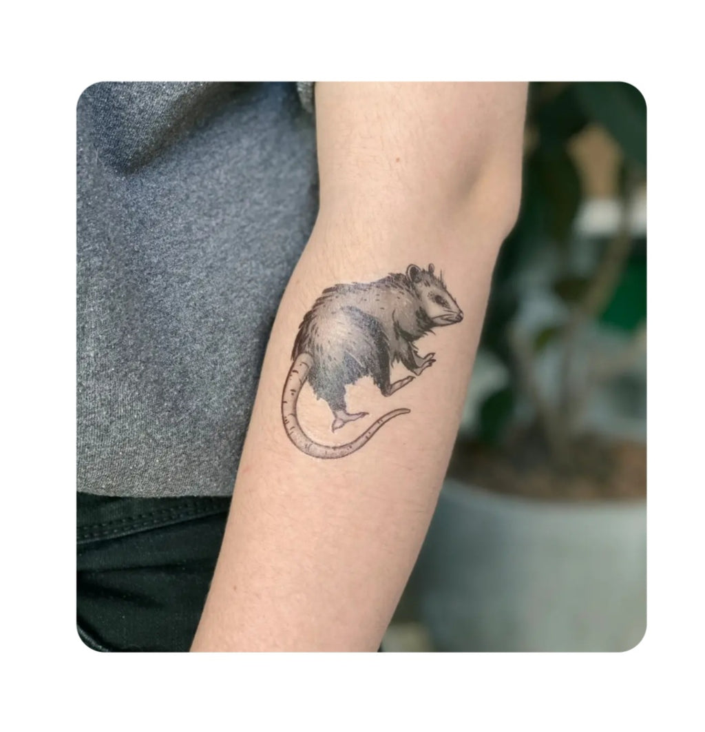 Temporary opossum tattoo on forearm, black-and-gray animal design