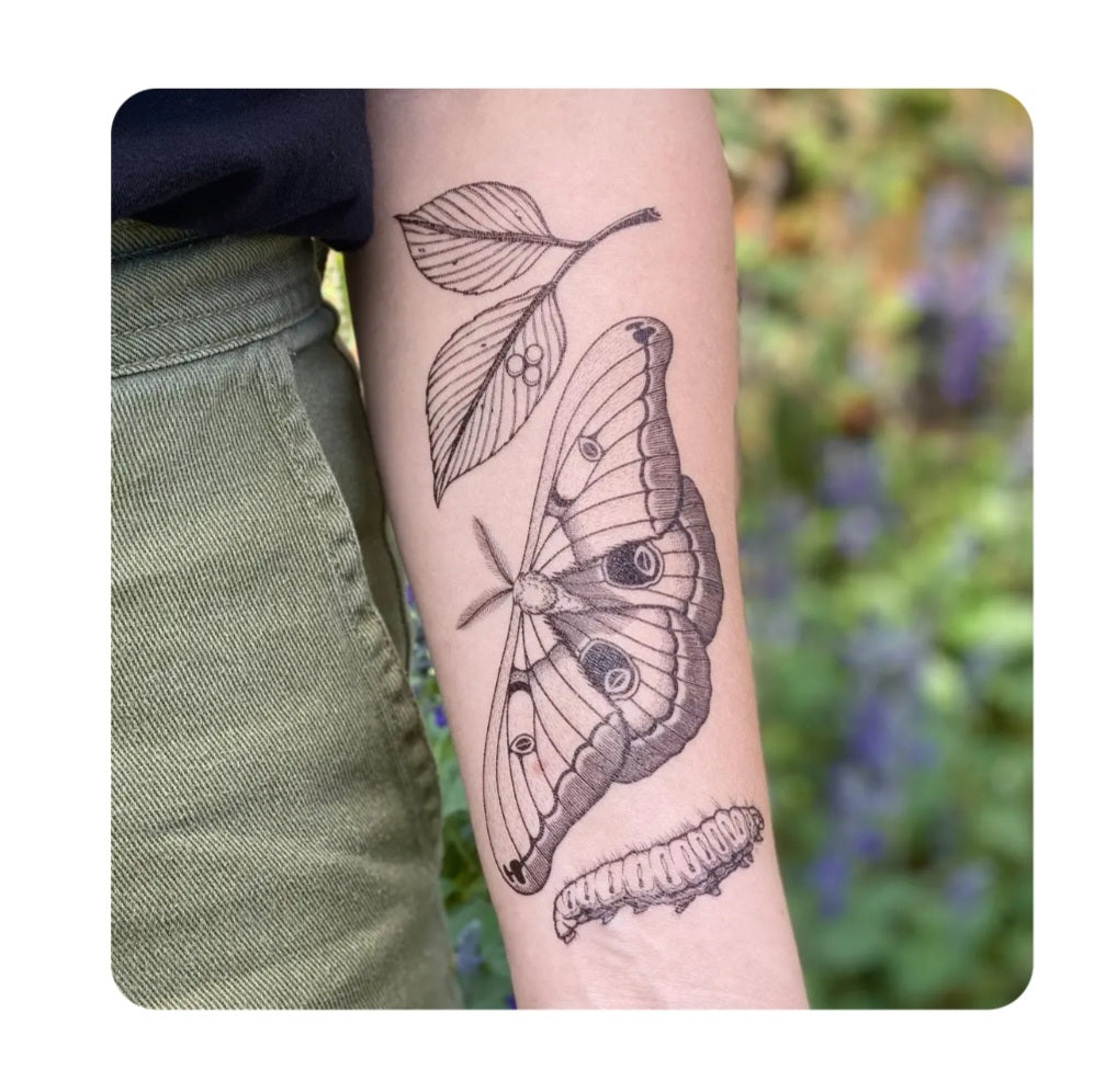 Temporary tattoo of a large moth with detailed wings and leaves, black line art