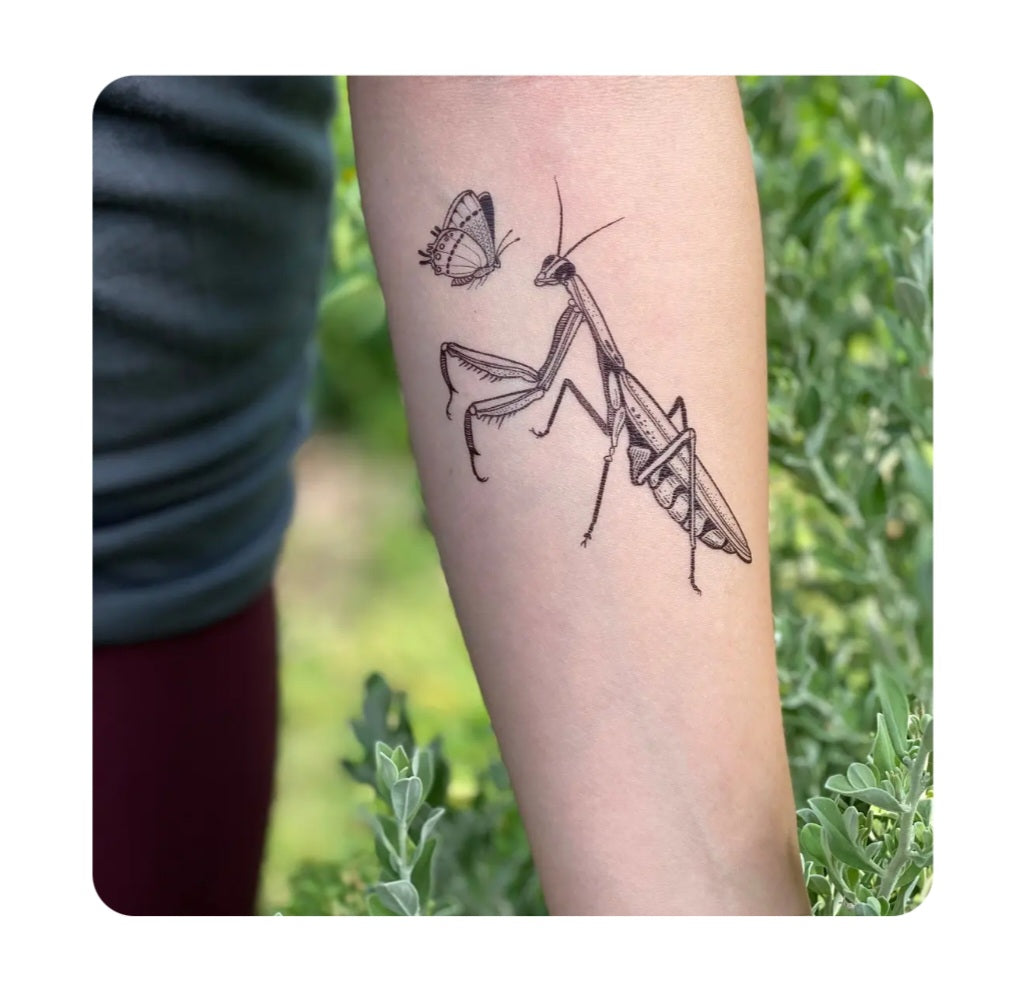 Temporary tattoo of praying mantis and butterfly on forearm, black line art