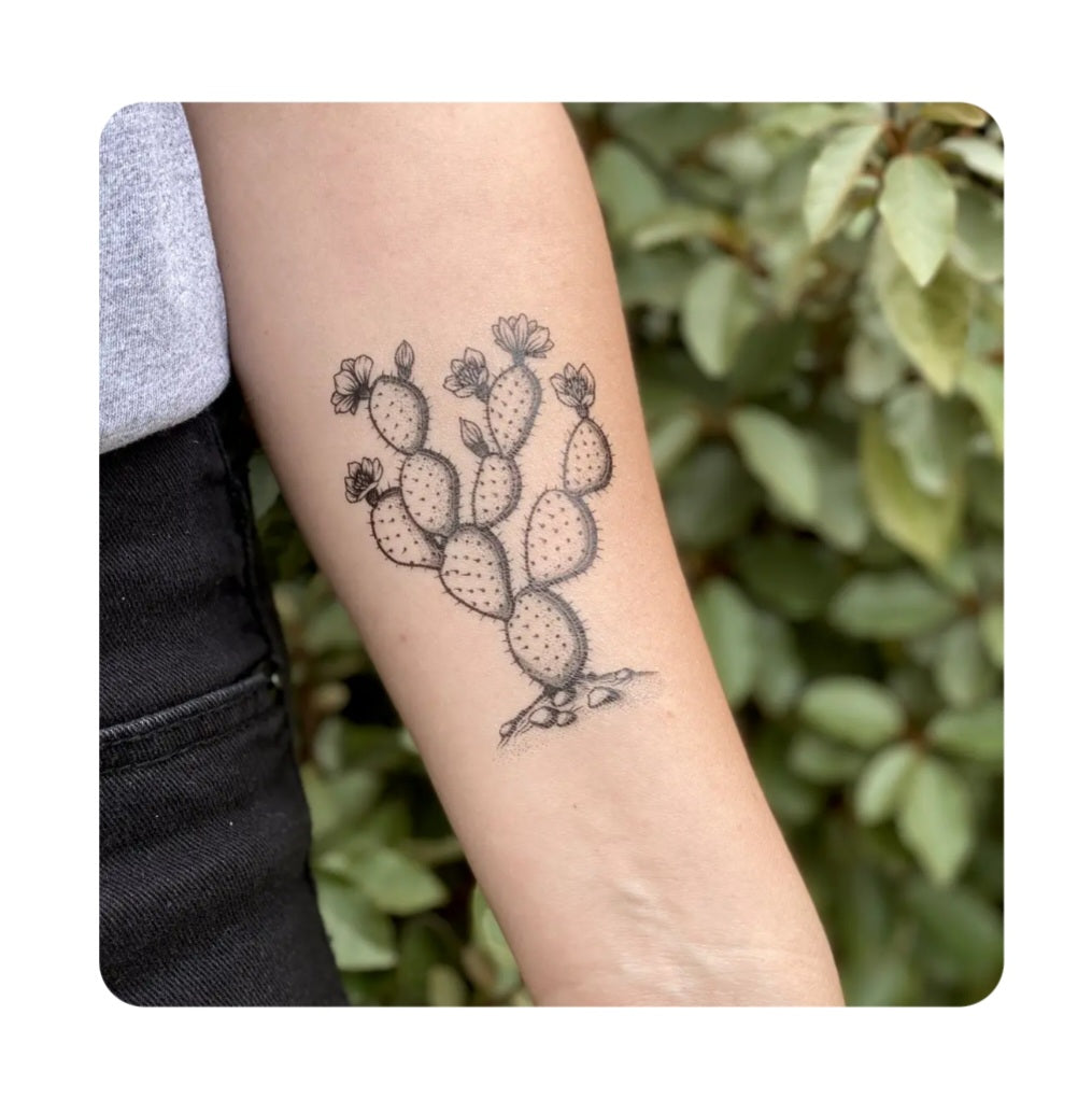 Prickly pear cactus temporary tattoo on forearm, black outline with small flowers