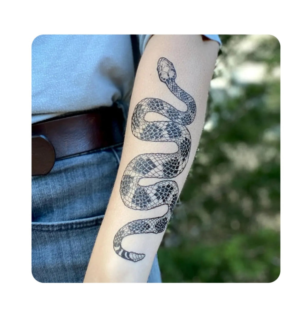 Rattlesnake temporary tattoo sticker on forearm, black and gray snake coiled design