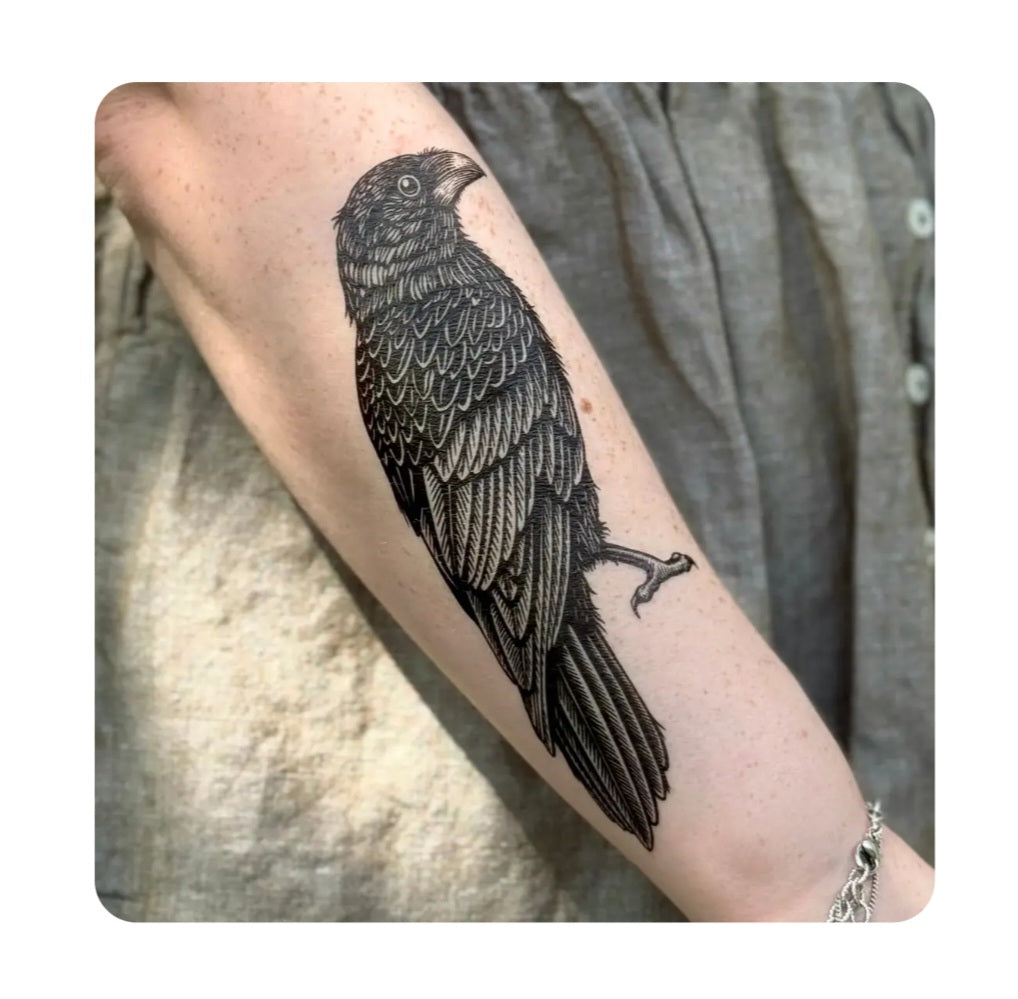 Raven temporary tattoo on forearm, black raven bird with feathered wings