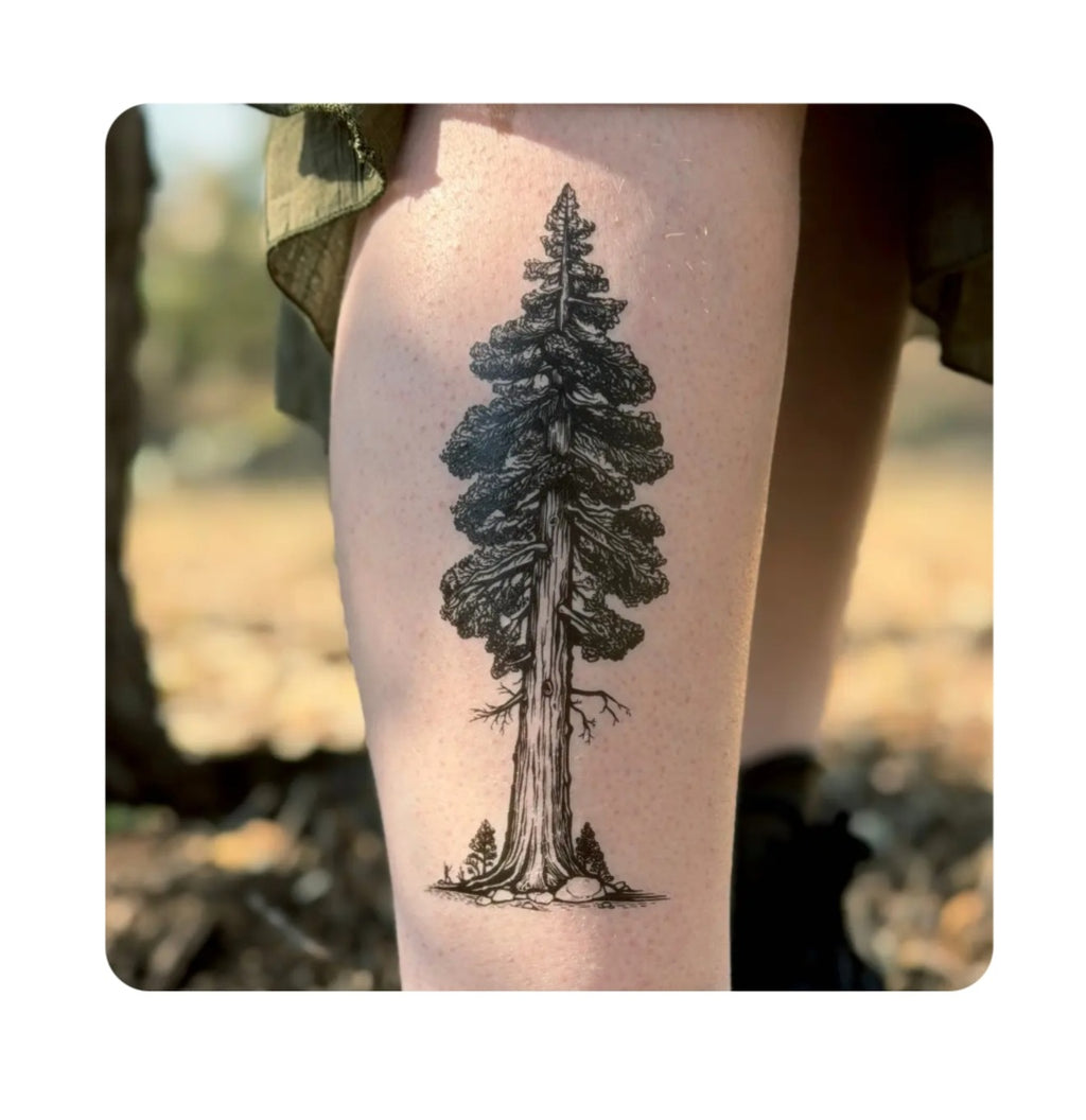 Temporary tree tattoo of a dark pine on skin, hand-drawn line art