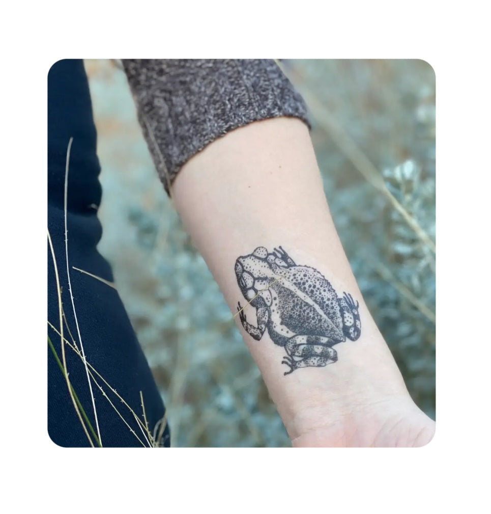 Toad temporary tattoo on forearm, black line illustration