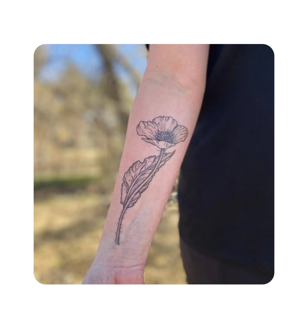 Wild poppy temporary tattoo on wrist, black flower and stem design
