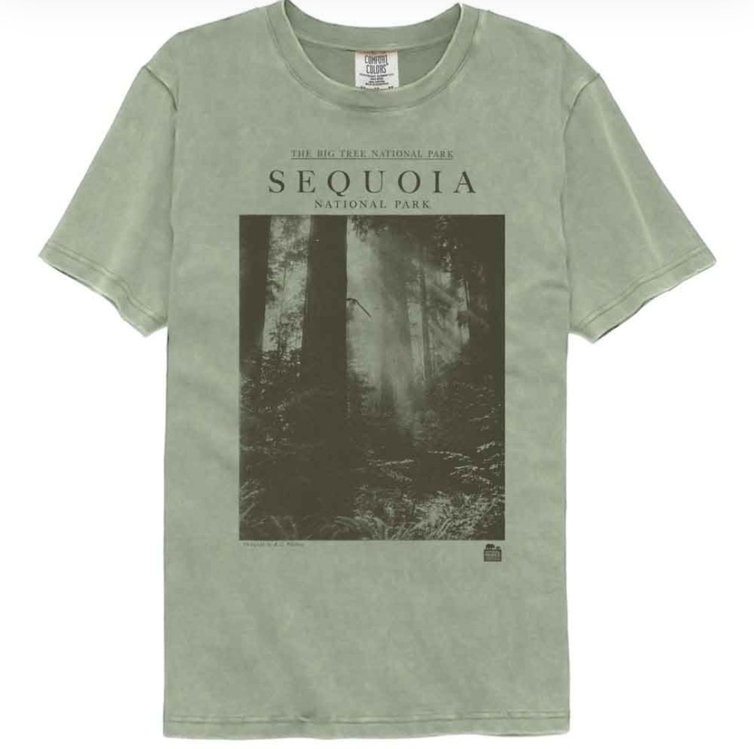Comfort Colors green t-shirt with Sequoia National Park forest graphic, crew neck